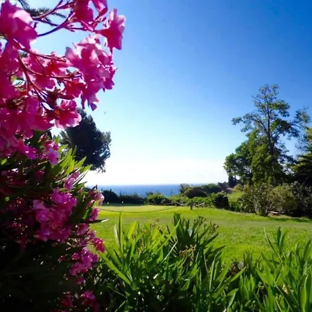 Cap Esterel Prestige By Interhome Διαμέρισμα *