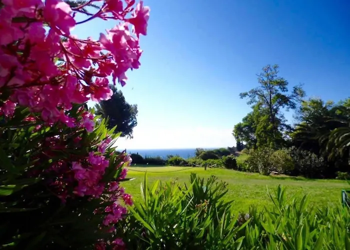 Cap Esterel Prestige By Interhome Διαμέρισμα *